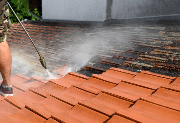 Best Fence Pressure Washing  in Manly, IA